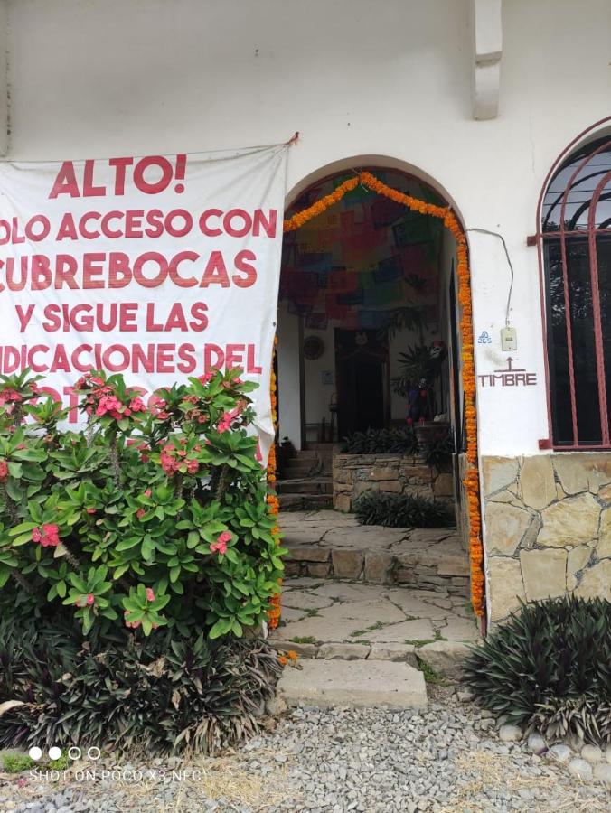 Hotel Raiz De Sierra Matlapa Bagian luar foto