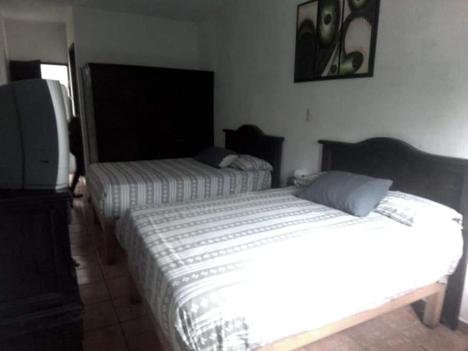 Hotel Raiz De Sierra Matlapa Bagian luar foto